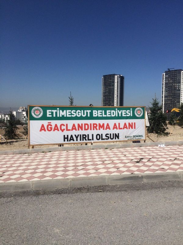 Ağaçlandırma Çalışması