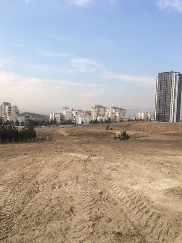 Park Çalışması