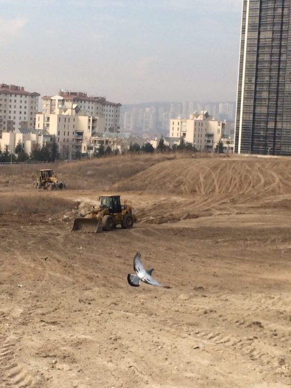 Park Çalışması