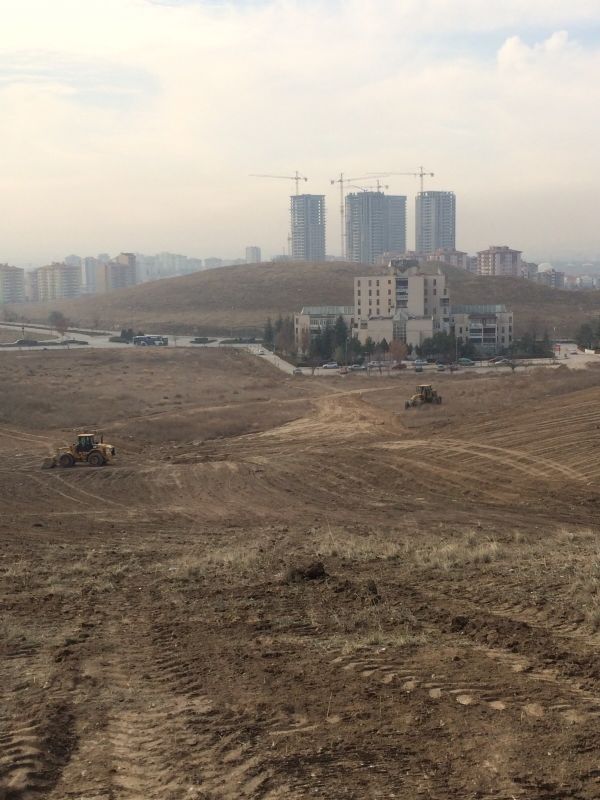 Park Çalışması