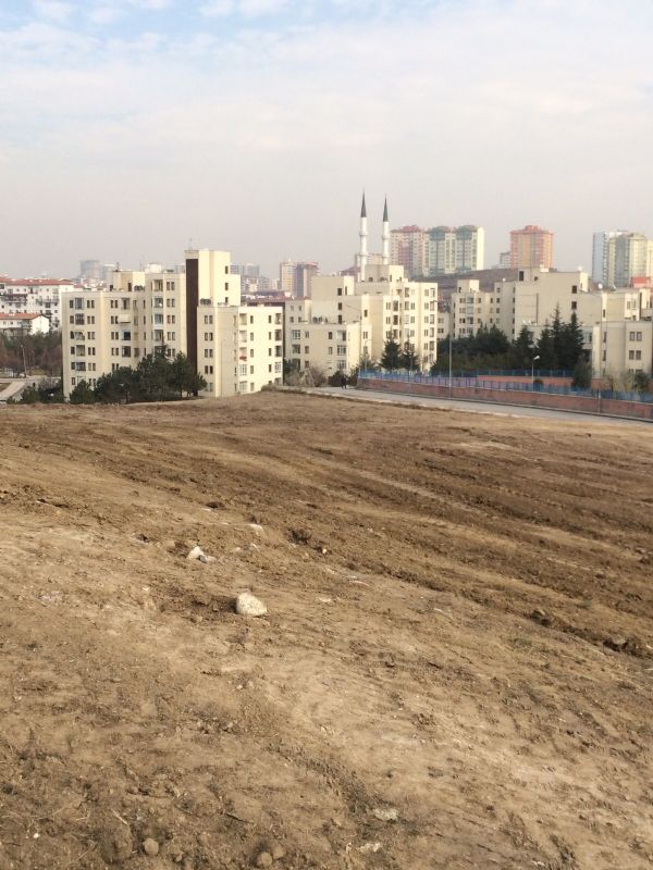 Park Çalışması