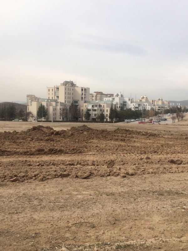 Park Çalışması